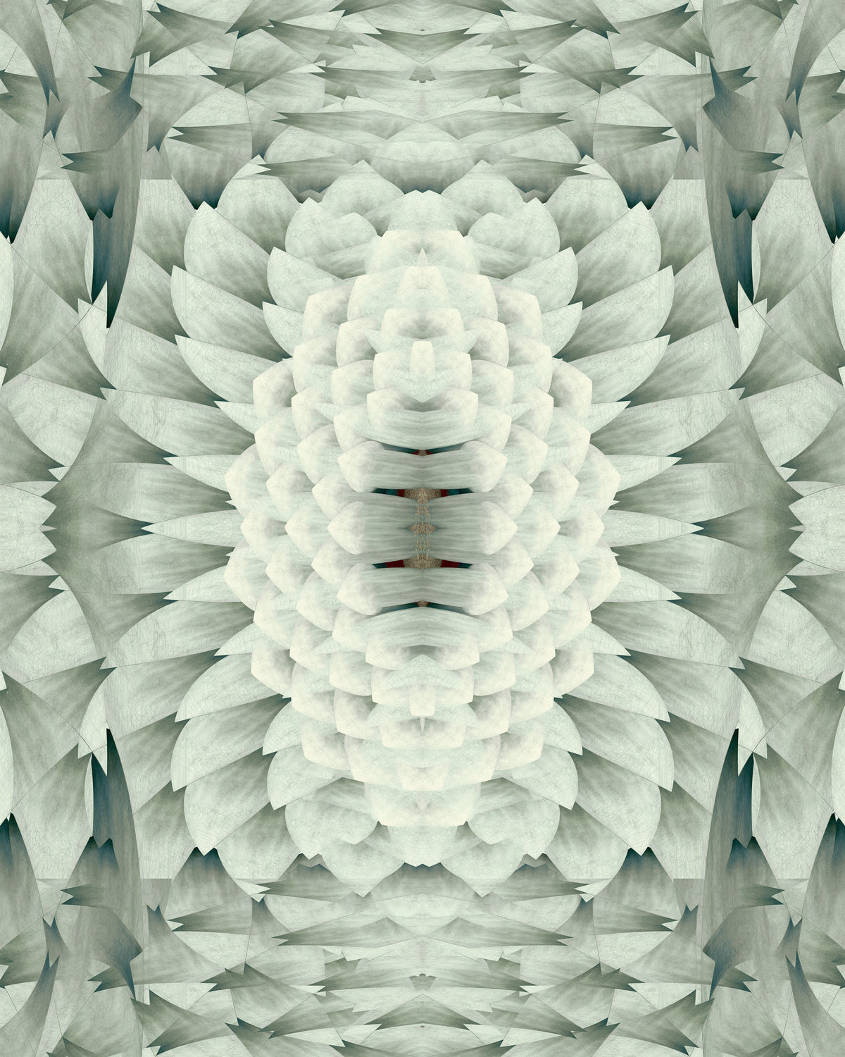 White Gray Geometric Floral - GARDENIA Wallpaper⁠