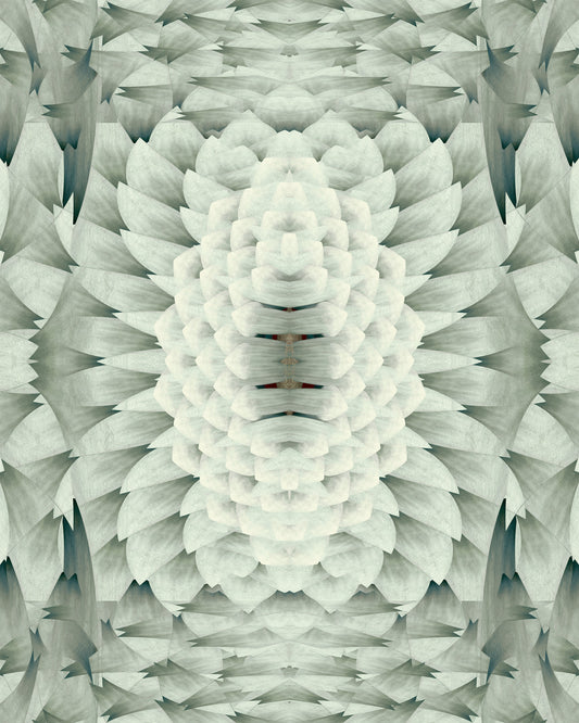 Monochromatic Sculptural Geometric Flower - GARDENIA Wallpaper⁠