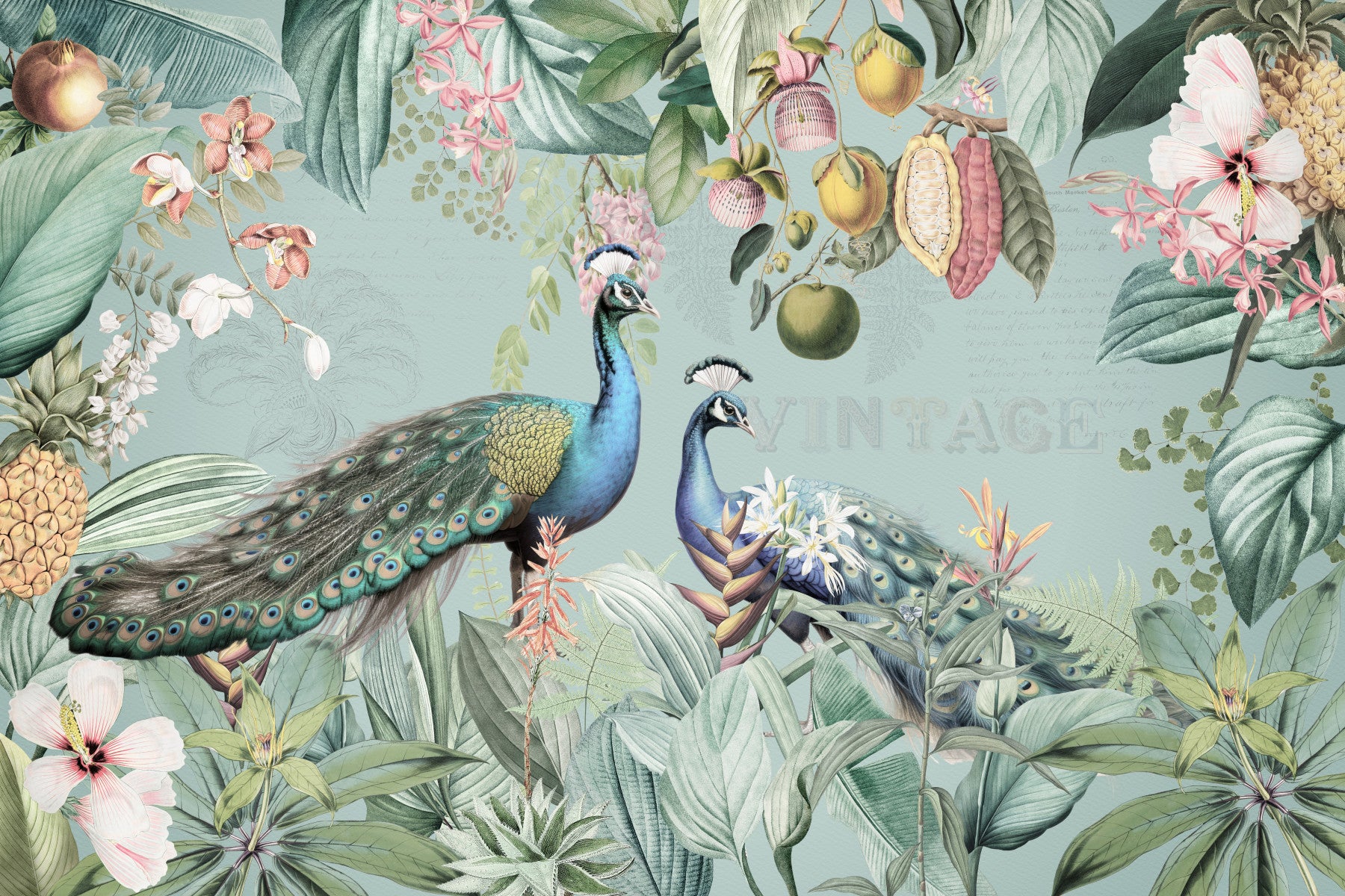 Serene Tropical Peacock Sanctuary Wall Mural