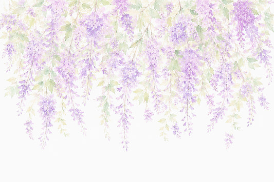 Spring Wisteria Canopy Wall Mural