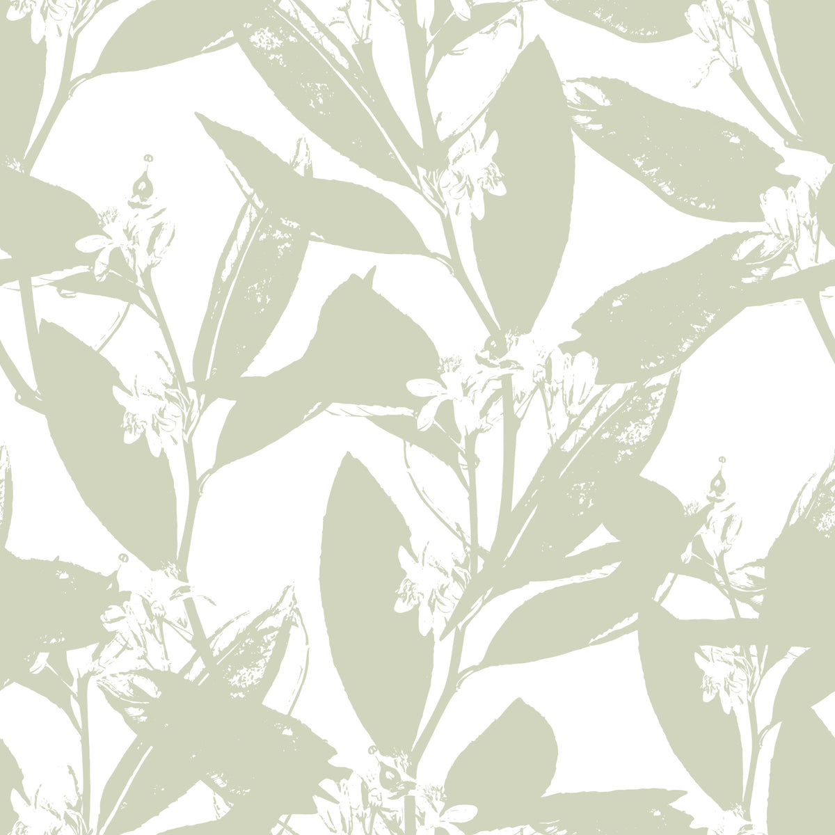 Soft Sage Botanical Print Wallpaper⁠