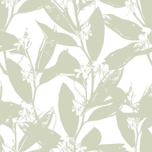 Soft Sage Botanical Print Wallpaper⁠