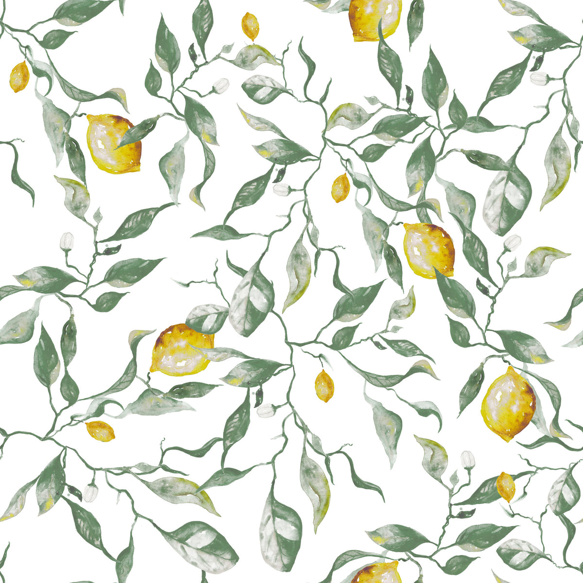 Mediterranean Citrus Grove Illustration Wallpaper⁠ in your room — zoomed