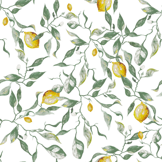Mediterranean Citrus Grove Illustration Wallpaper⁠