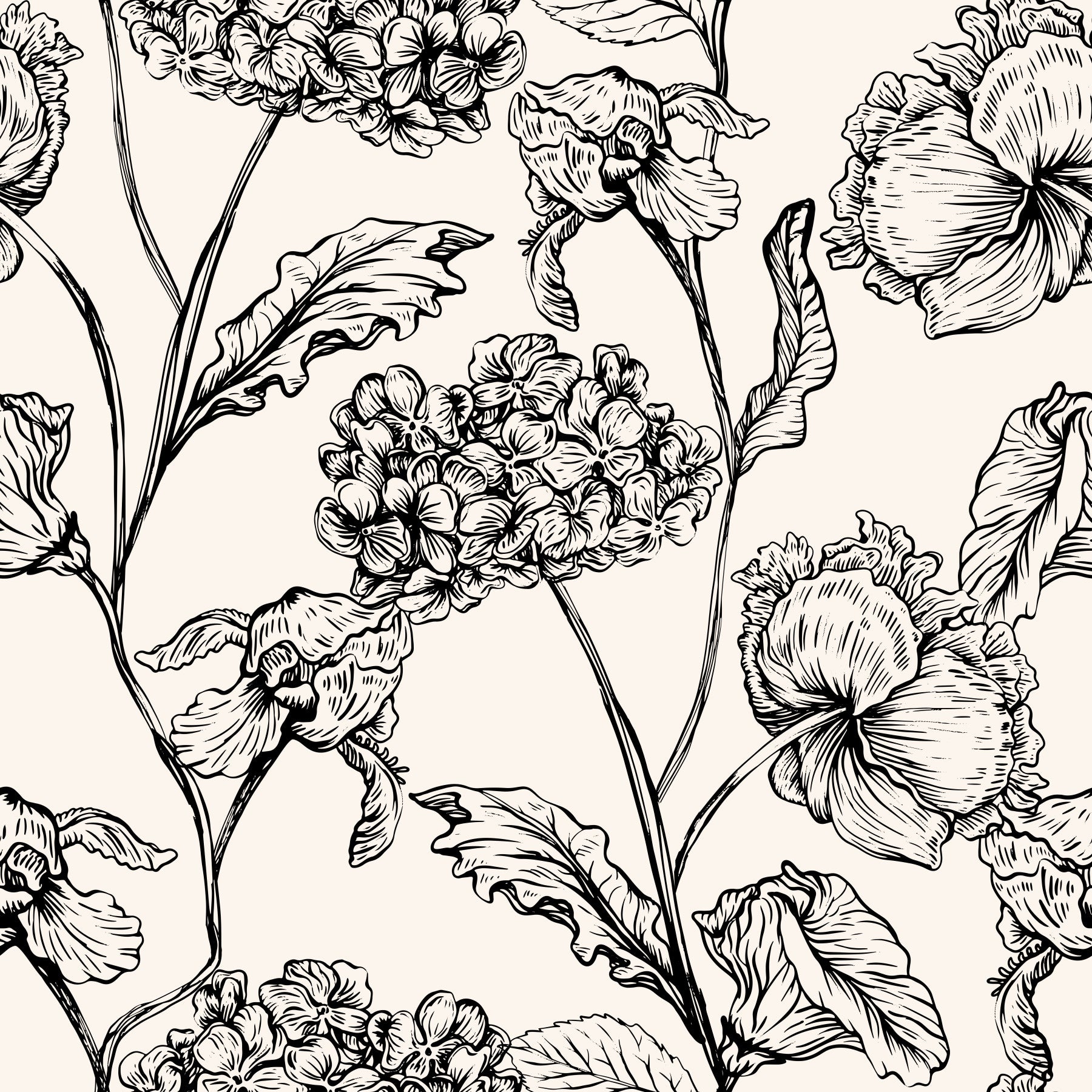 Monochrome Botanical Line Art Wallpaper⁠