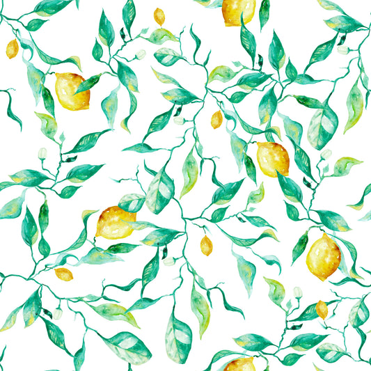 Mediterranean Citrus Grove Orchard Wallpaper⁠
