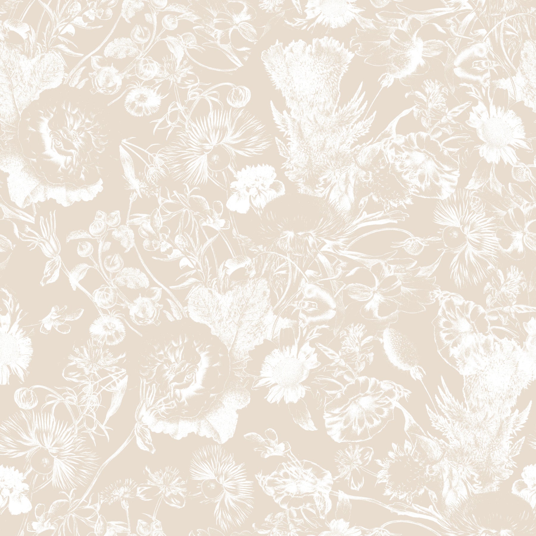 Cream Botanical Line Art Wallpaper⁠
