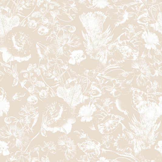 Cream Botanical Line Art Wallpaper⁠