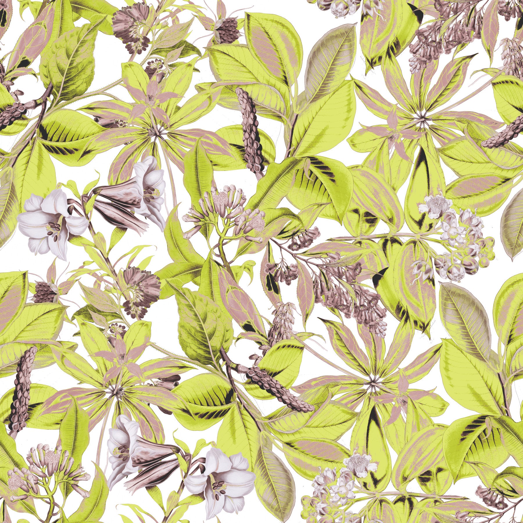 Lush Botanical Garden Foliage Wallpaper⁠