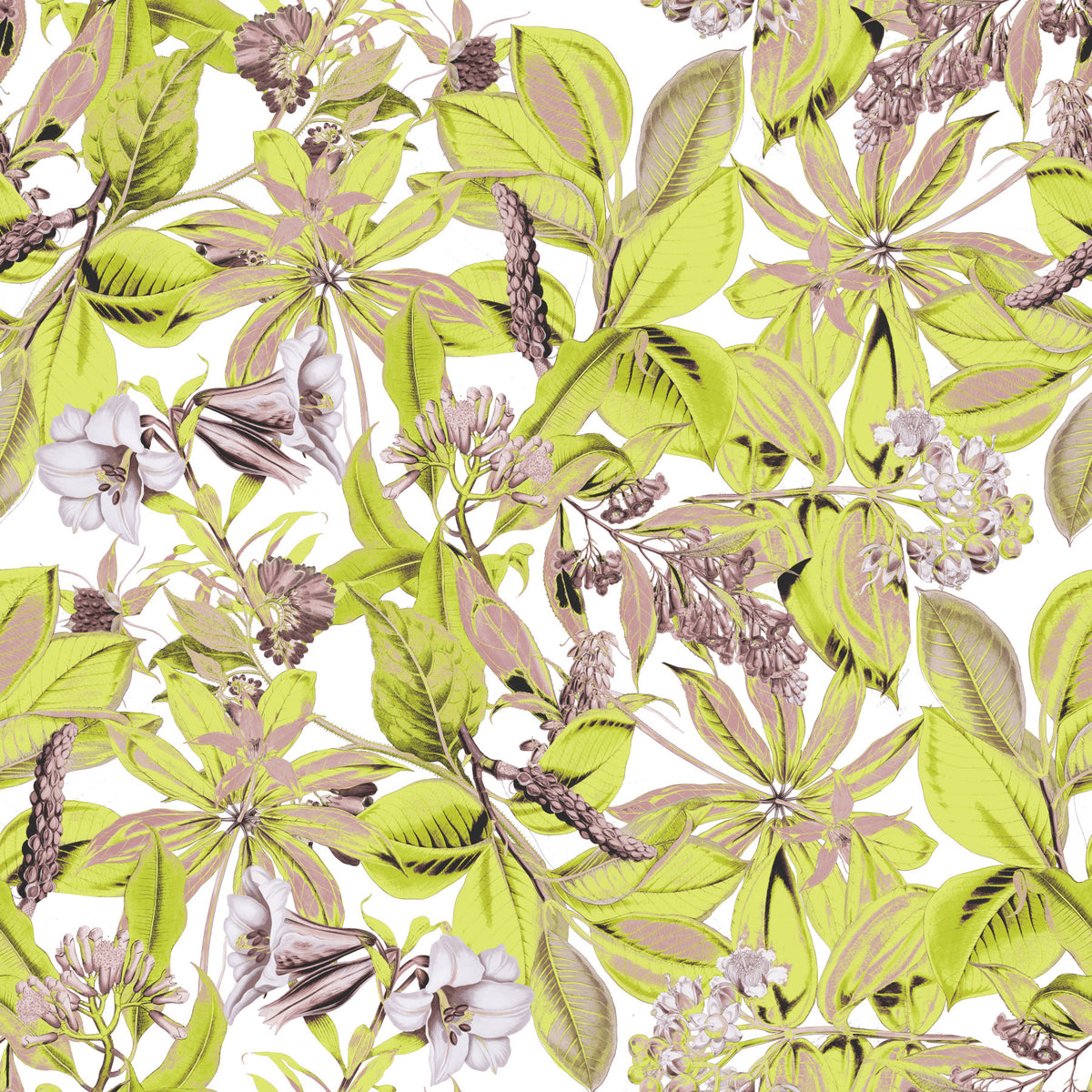 Lush Botanical Garden Foliage Wallpaper⁠ in your room — zoomed