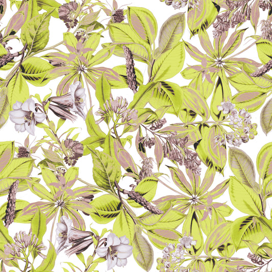 Lush Botanical Garden Foliage Wallpaper⁠