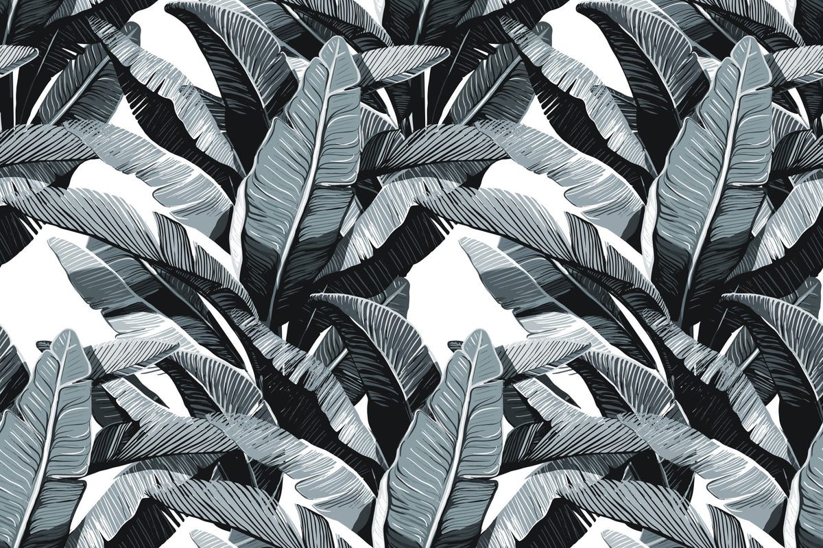 Monochrome Tropical Palm Fronds Wallpaper⁠ in your room — zoomed