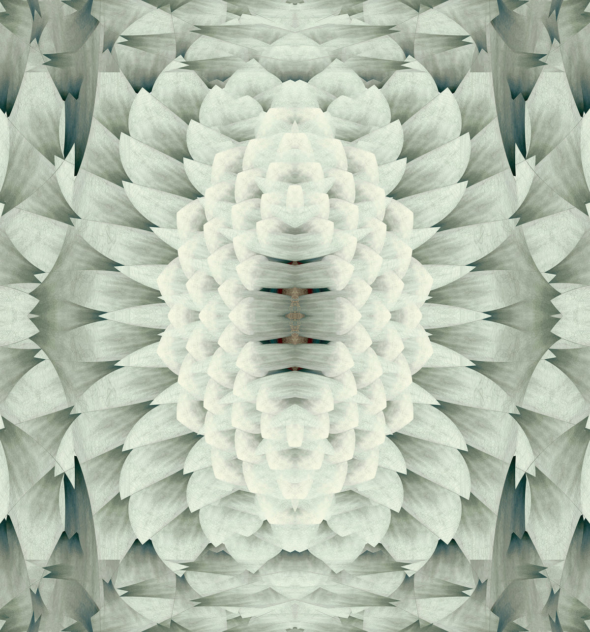White Gray Oversized Geometric Flower - GARDENIA Wall Mural in your room — zoomed