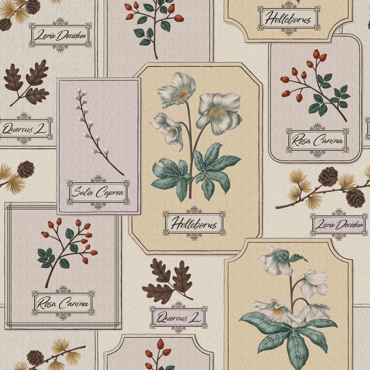 Botanical Winter Specimen Herbarium Wallpaper⁠ in your room — zoomed