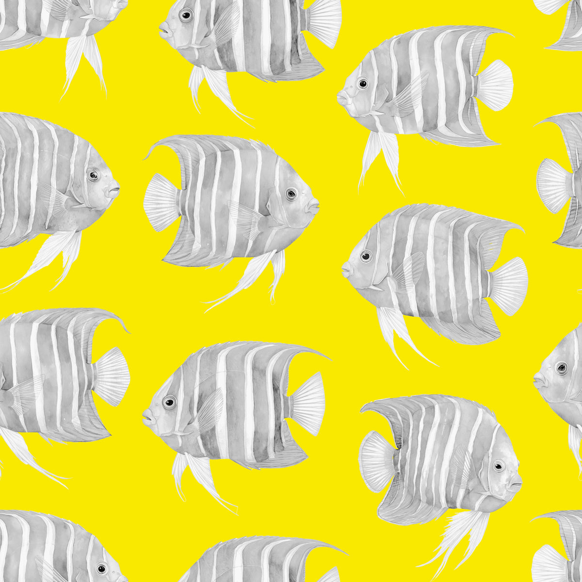 Karli The Fish Wallpaper⁠ in your room — zoomed