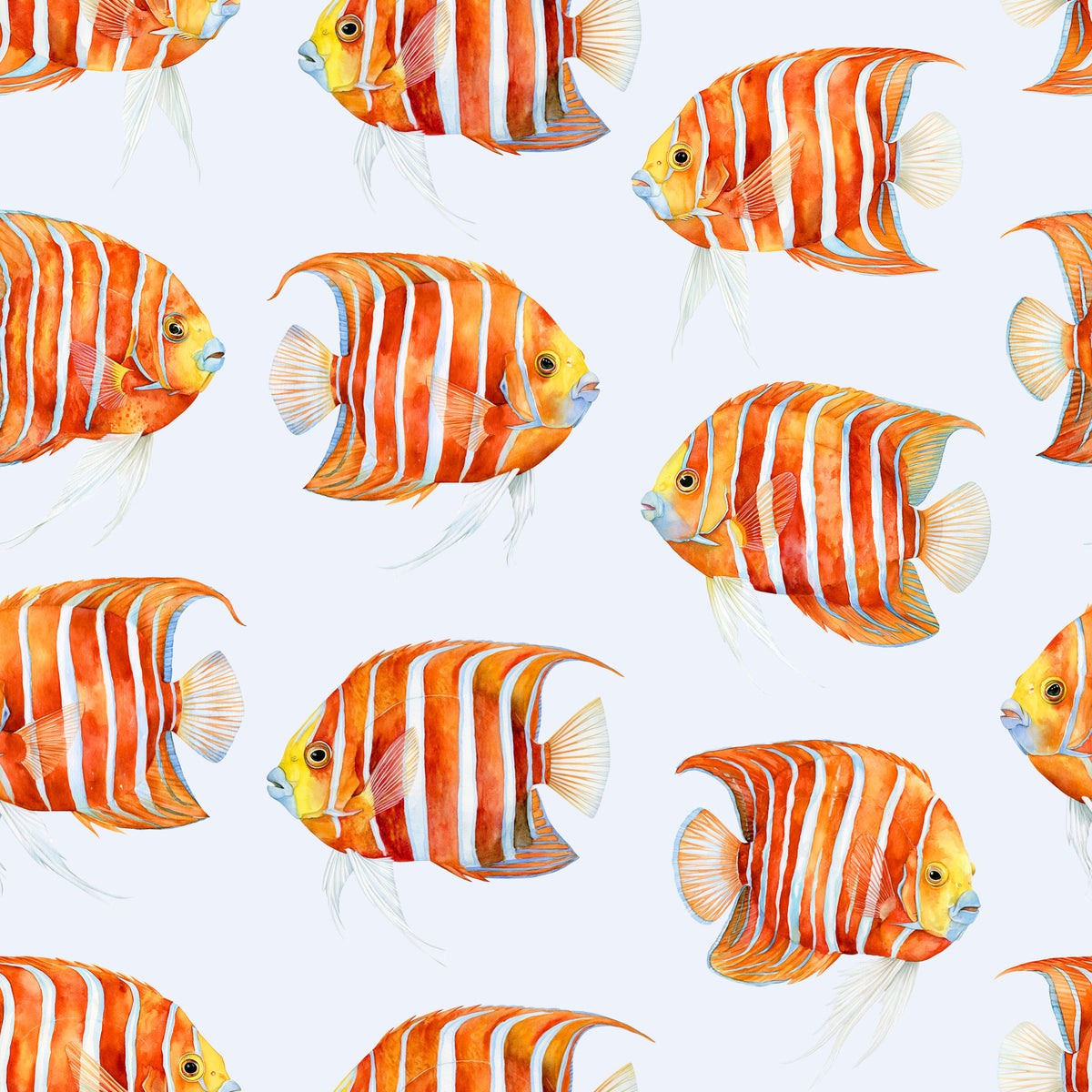 Karli The Fish 02 Wallpaper⁠ in your room — zoomed