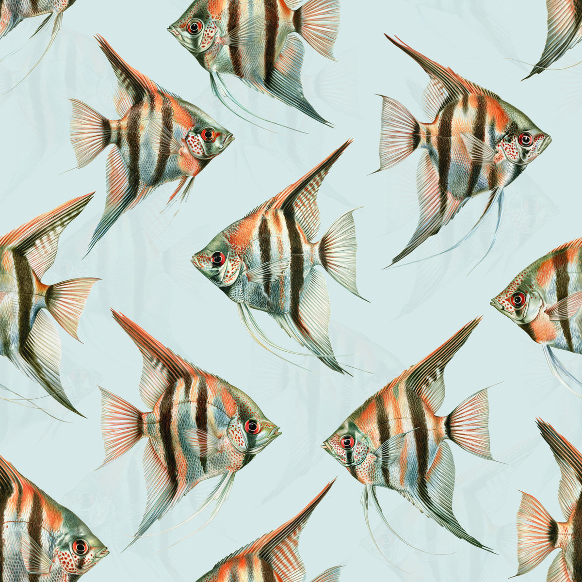 Origon The Fish 02 Wallpaper⁠ in your room — zoomed