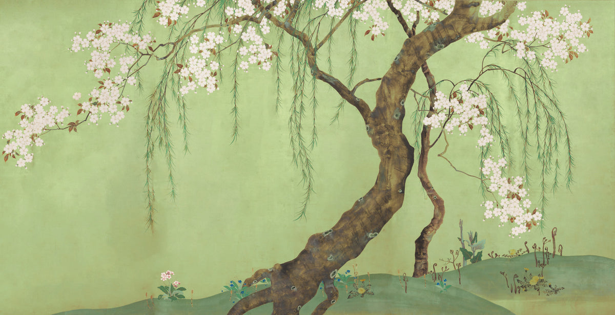 Weeping Cherry Blossom Willow Scene Wall Mural in your room — zoomed
