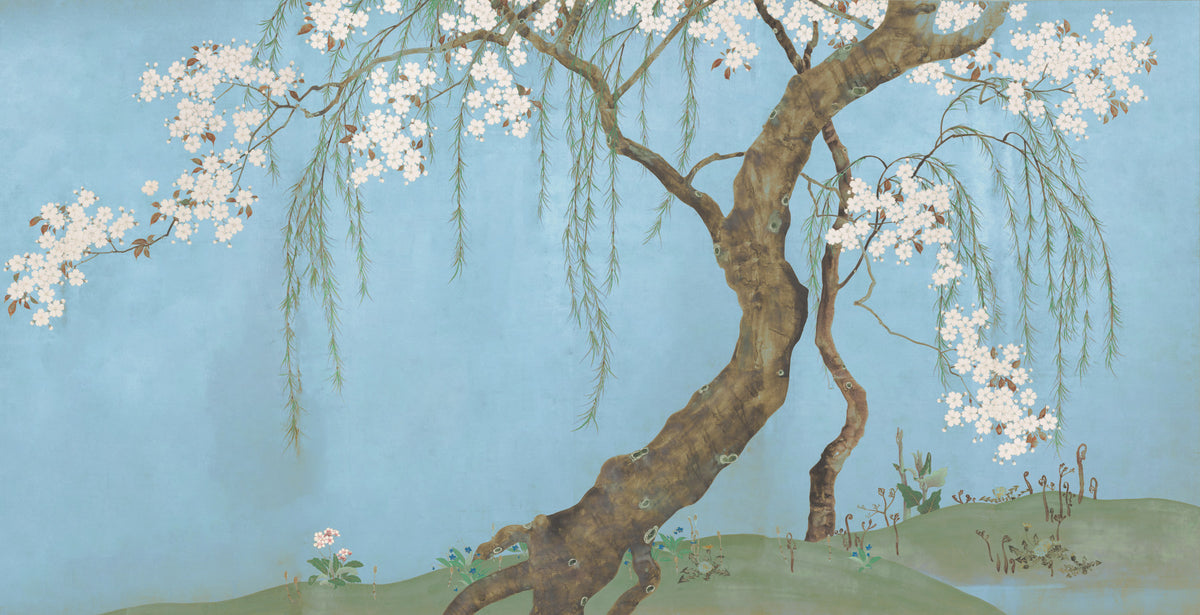 Serene Cherry Blossom Willow Wall Mural in your room — zoomed