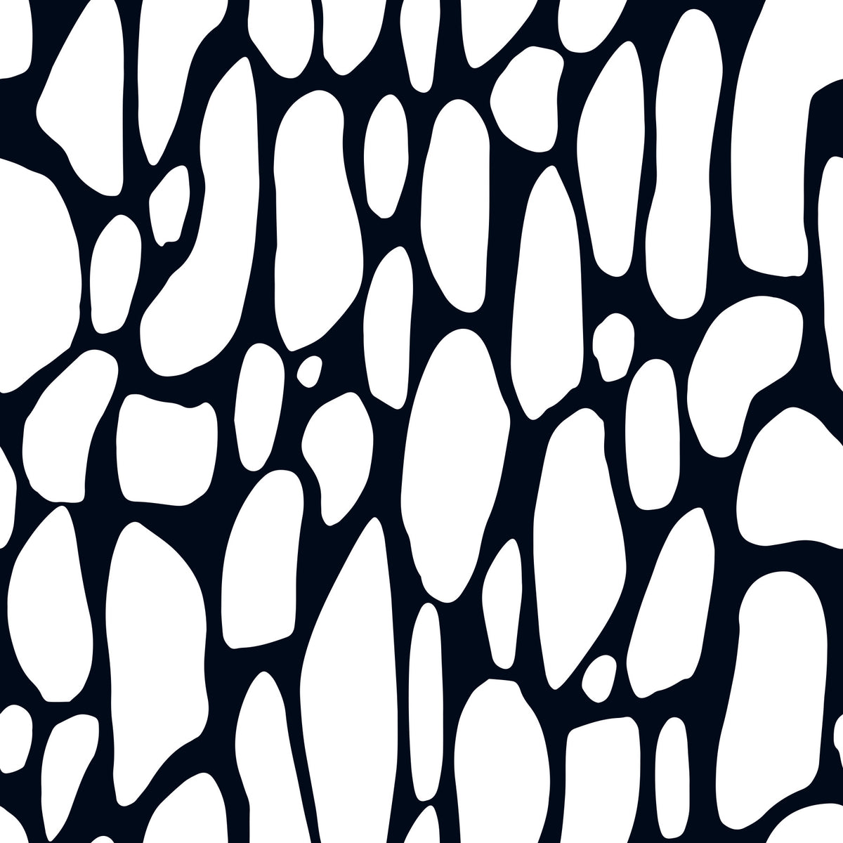 Organic Monochrome Pebbles Wallpaper⁠