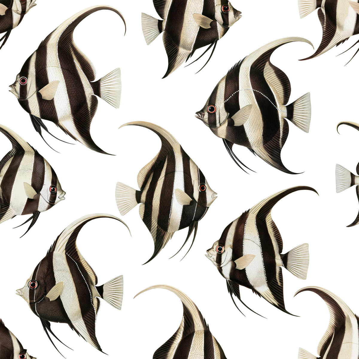Spade The Fish 01 Wallpaper⁠ in your room — zoomed