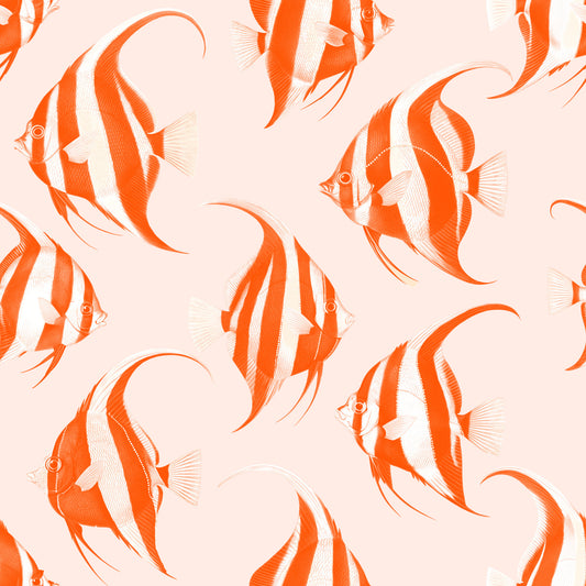 Spade The Fish 02 Wallpaper⁠