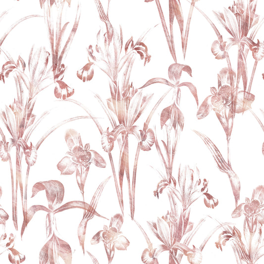 Ethereal Blush Iris Garden Wallpaper⁠