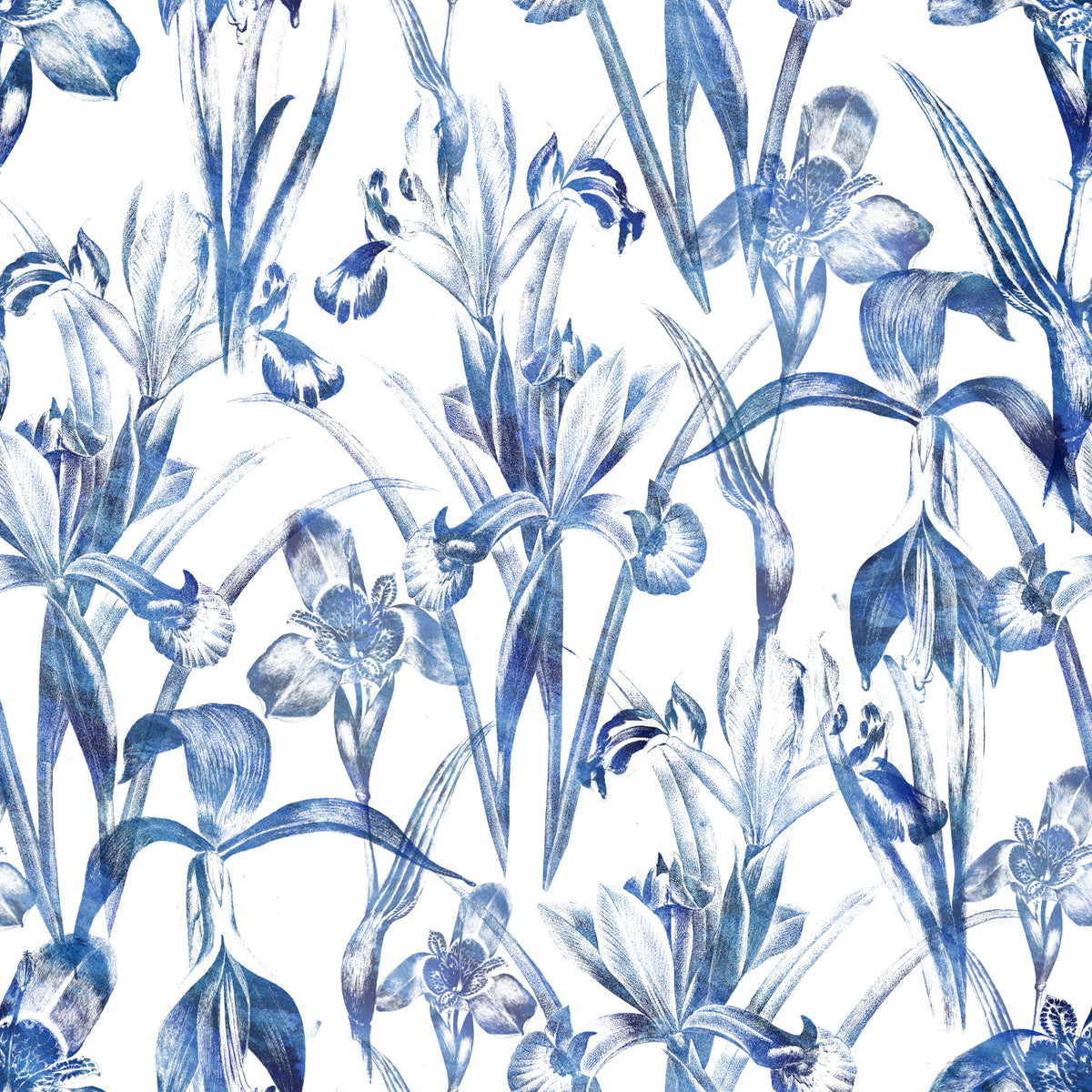Indigo Botanical Sketch Wallpaper⁠ in your room — zoomed