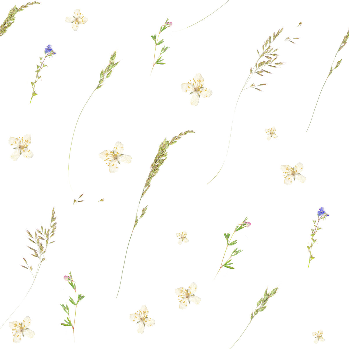 Pressed Meadow Wildflowers Wallpaper⁠ in your room — zoomed