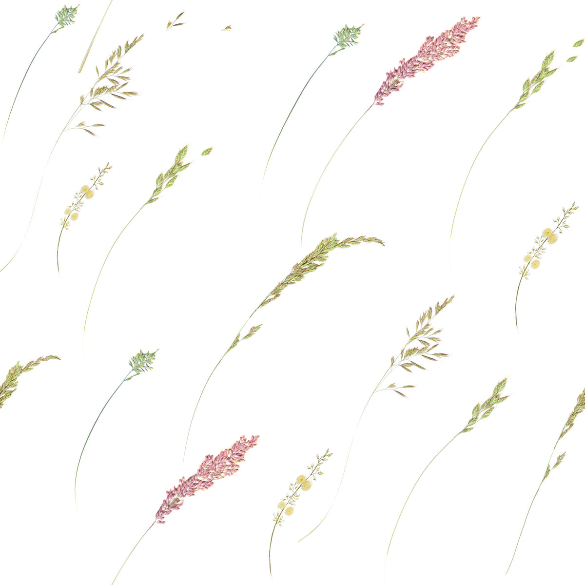 Ethereal Botanical Stems Wallpaper⁠ in your room — zoomed