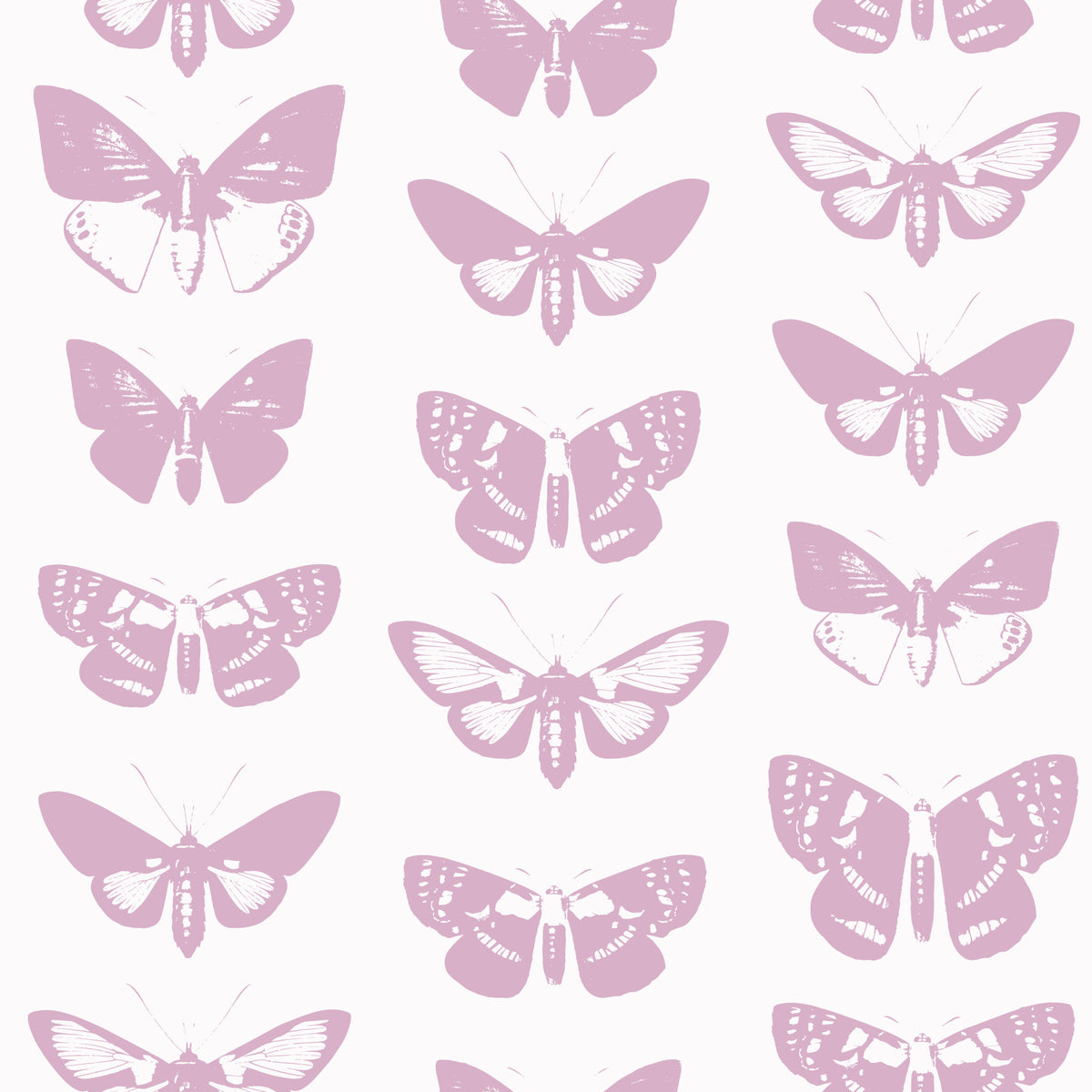 Soft Pink Moth Assemblage Wallpaper⁠ in your room — zoomed