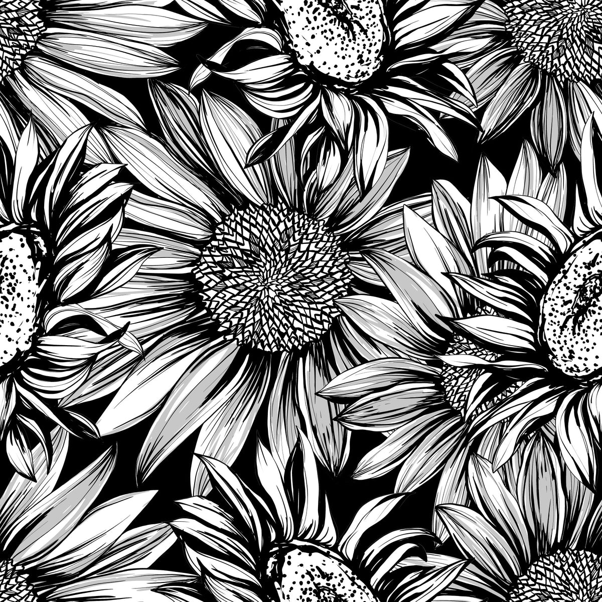 Monochrome Sunflower Sketch Bloom Wallpaper⁠ in your room — zoomed