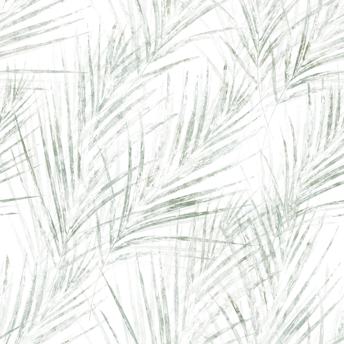 Sage Palm Botanical Sketch Wallpaper⁠ in your room — zoomed
