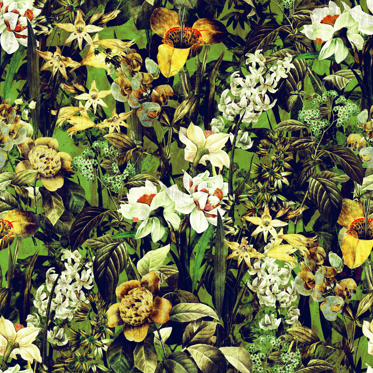 Rustic Botanical Forest Illustration Wallpaper⁠ in your room — zoomed