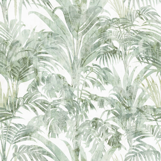 Sage Botanical Palm Fronds Wallpaper⁠