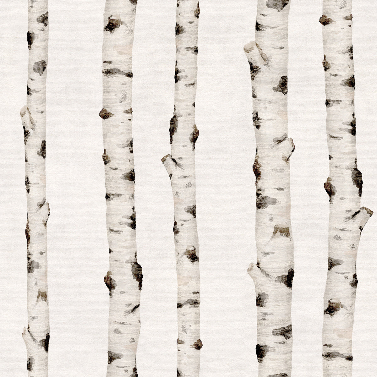 Rustic Birch Forest Vertical Trunks Wallpaper⁠ in your room — zoomed