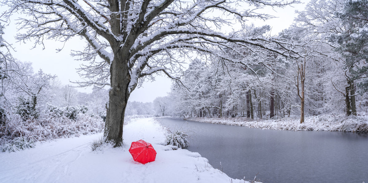 Frozen Canal Winter Wonderland Wall Mural in your room — zoomed