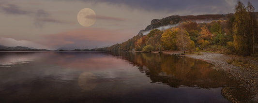Ethereal Autumn Forest at Twilight Wall Mural