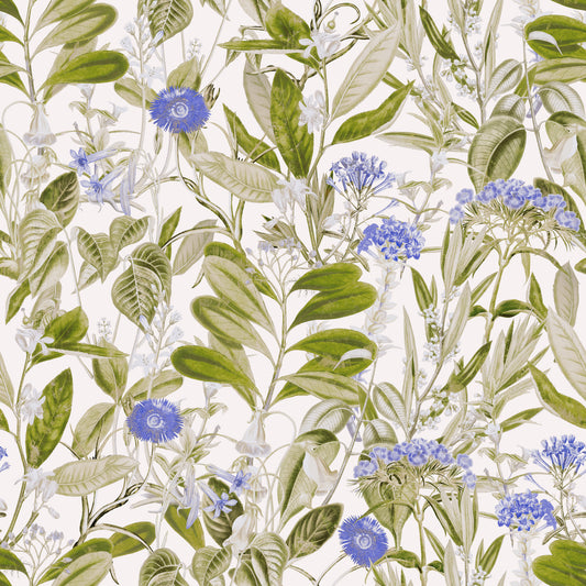 Serene Meadow Blue Floral Study Wallpaper⁠