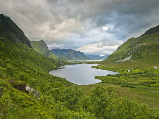 Alpine Lake and Valley Horizon Wall Mural