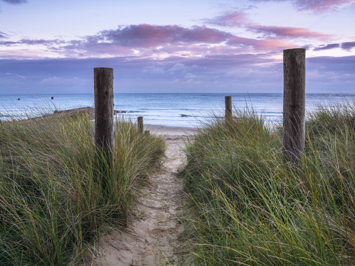 Coastal Grasses and Seascape Wall Mural in your room — zoomed