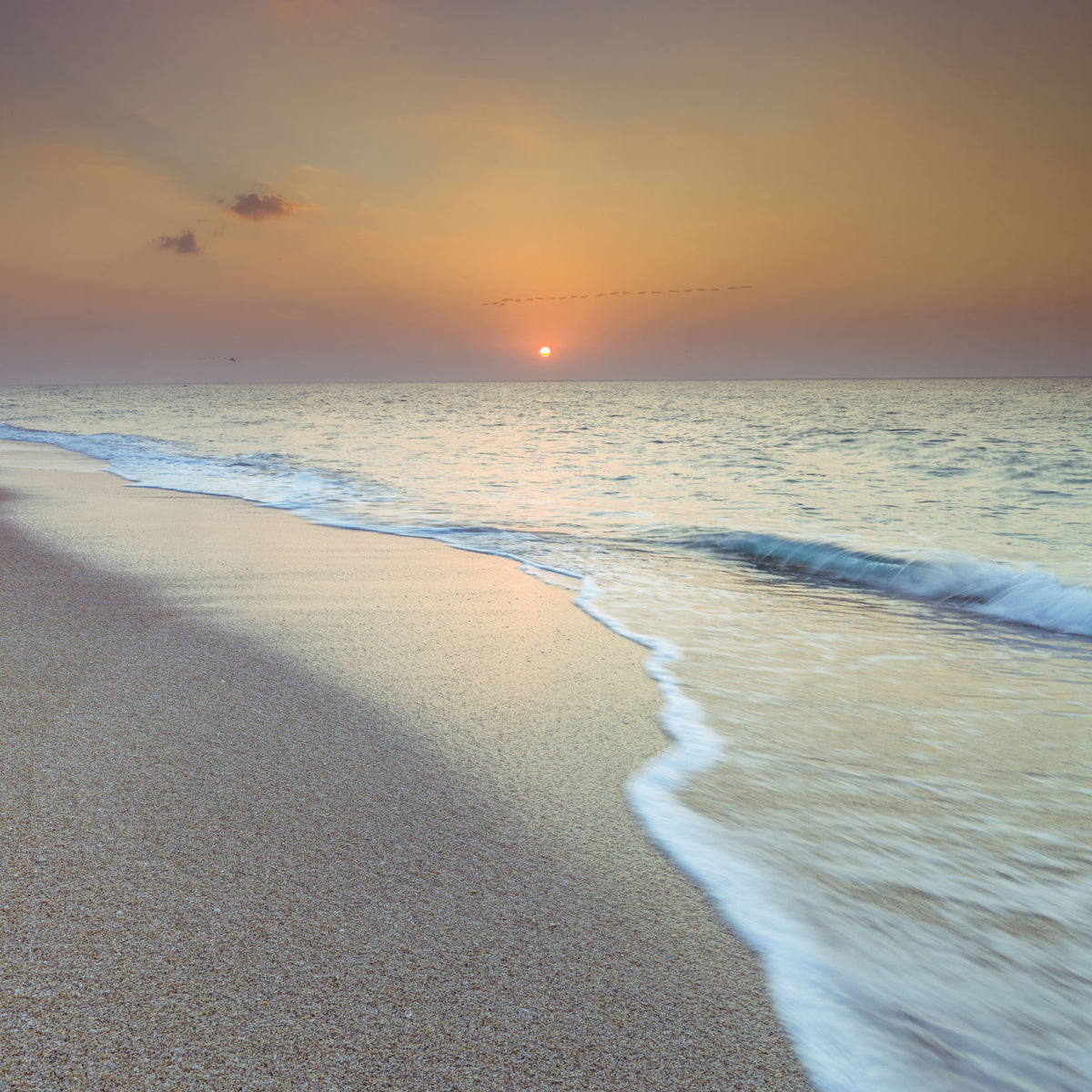 Golden Hour Coastal Hour Wall Mural in your room — zoomed