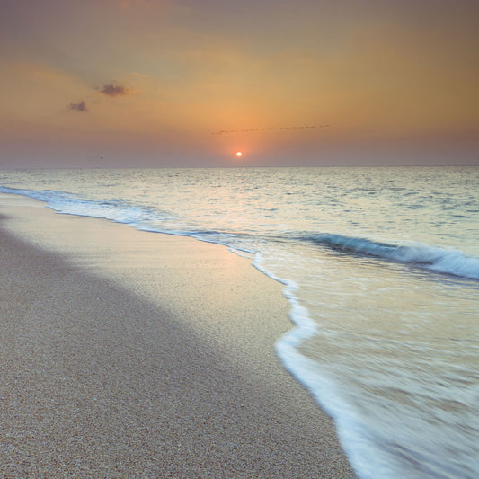 Golden Hour Coastal Hour Wall Mural