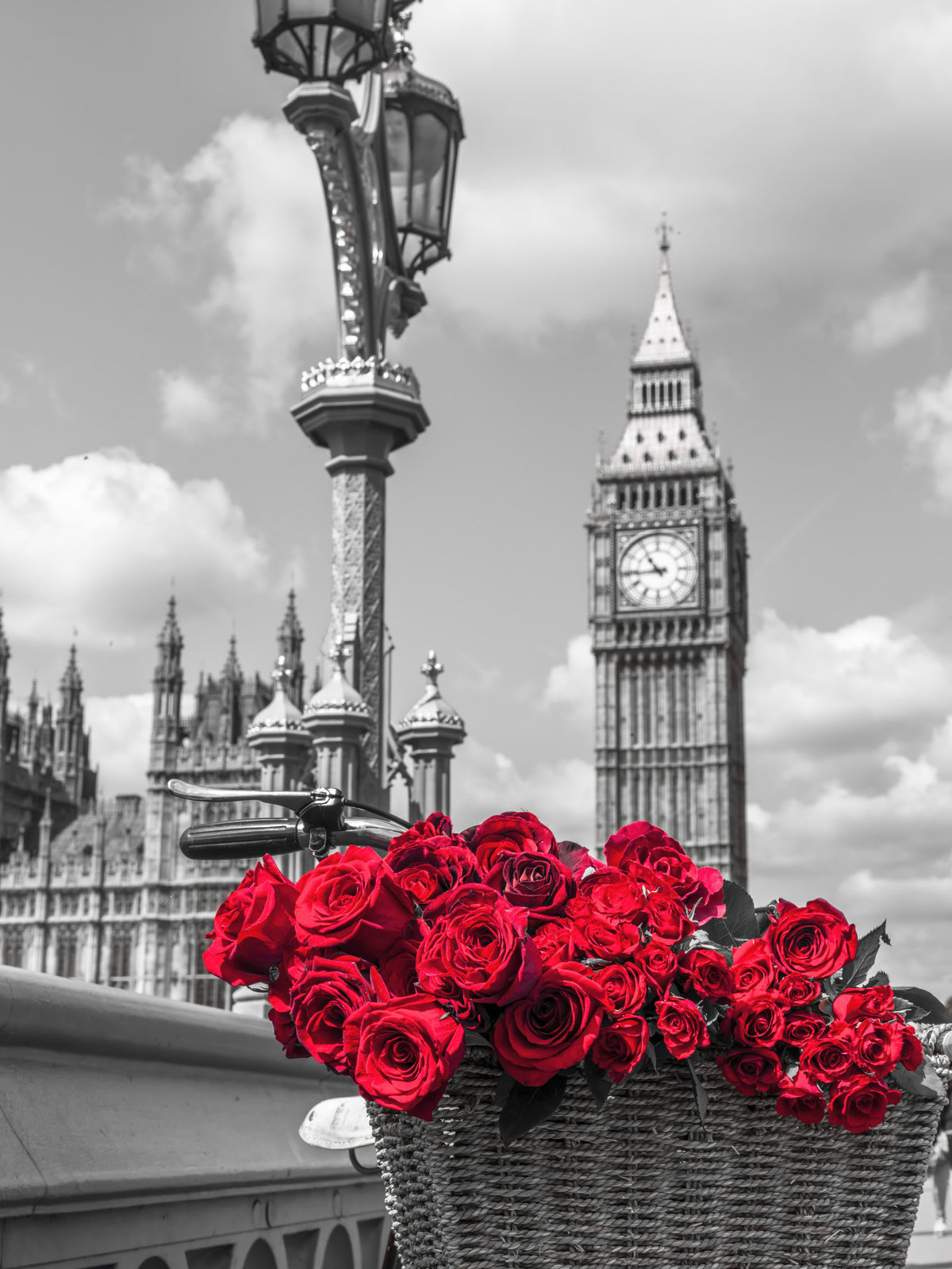 Crimson Blooms in Central London Wall Mural in your room — zoomed