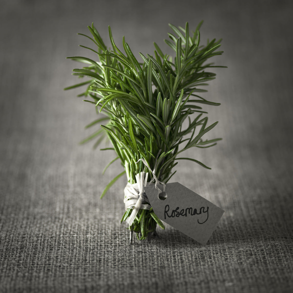 Rustic Herb Bundle Still Life Wall Mural in your room — zoomed