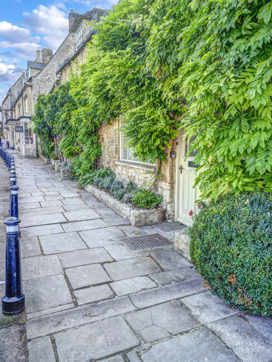 Rustic Stone Path and Climbing Ivy Wall Mural