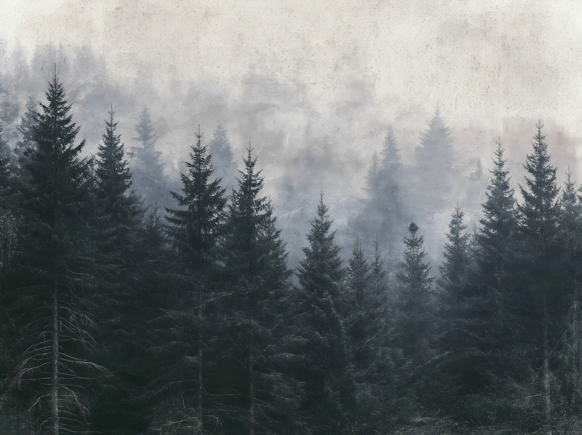 Atmospheric Evergreen Woodland Wall Mural