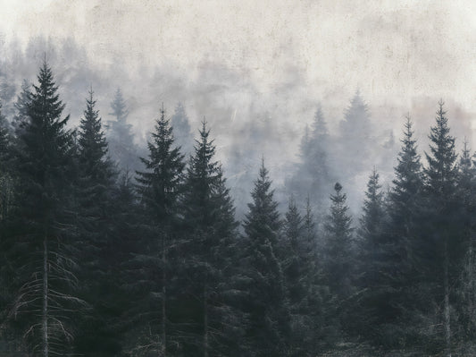 Atmospheric Evergreen Woodland Wall Mural