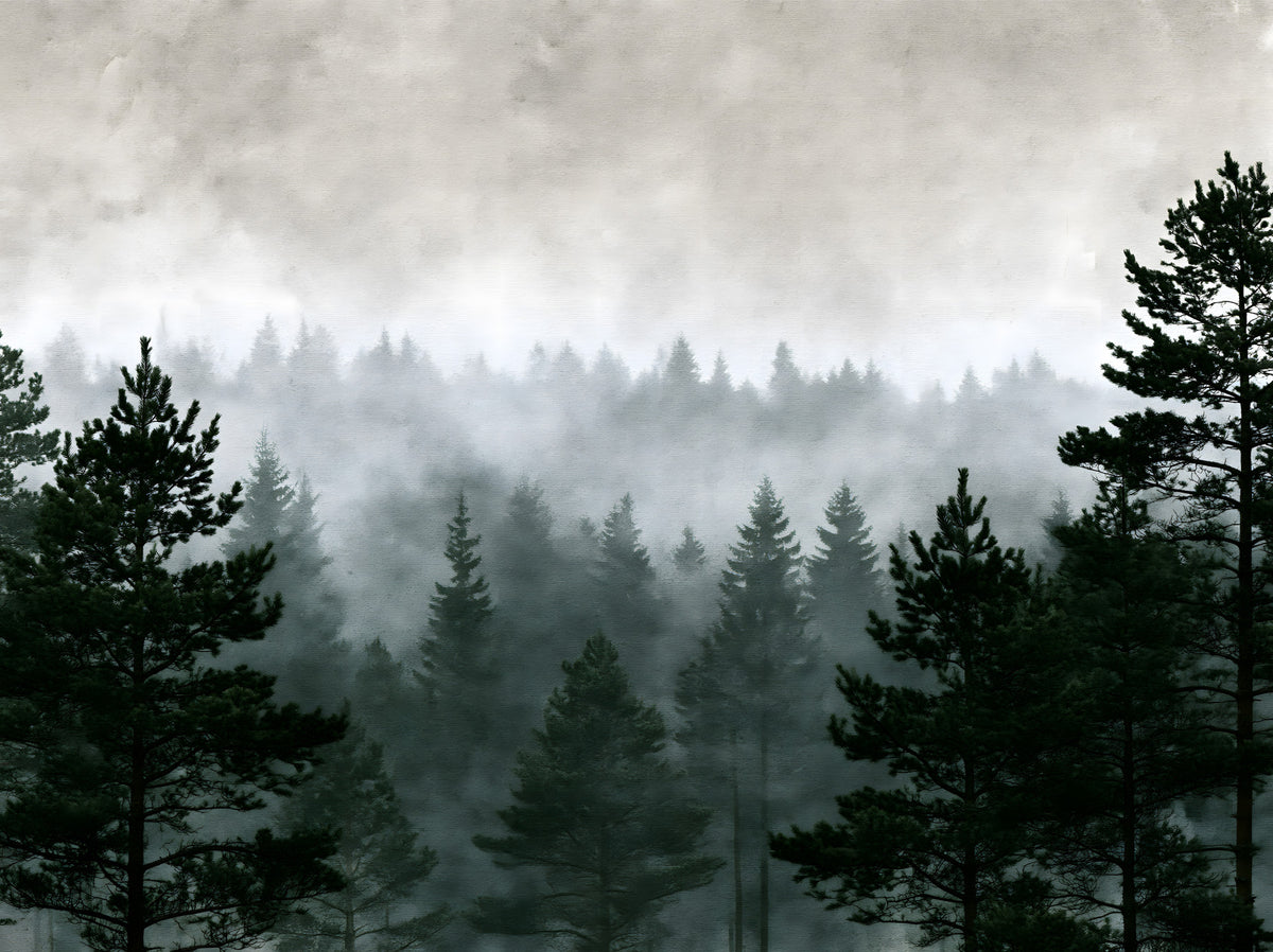 Shadowed Evergreen Woodland Wall Mural in your room — zoomed
