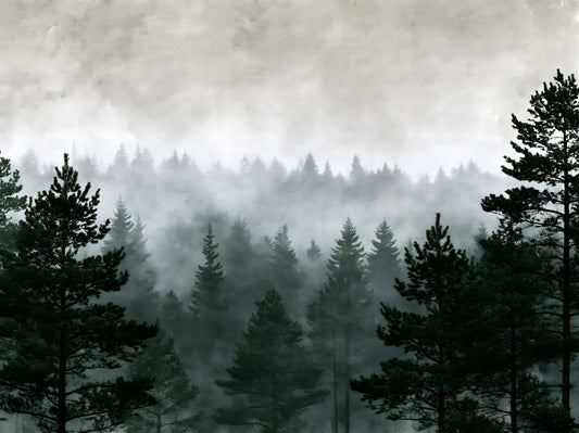 Shadowed Evergreen Woodland Wall Mural